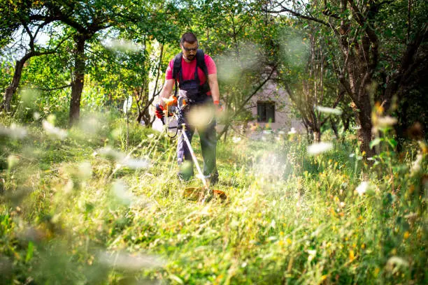 How to clear a yard full of weeds in Davenport, IA