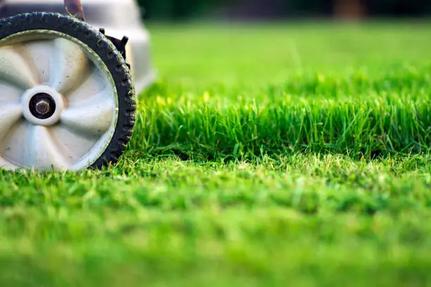 How to mow a lawn in Davenport, IA