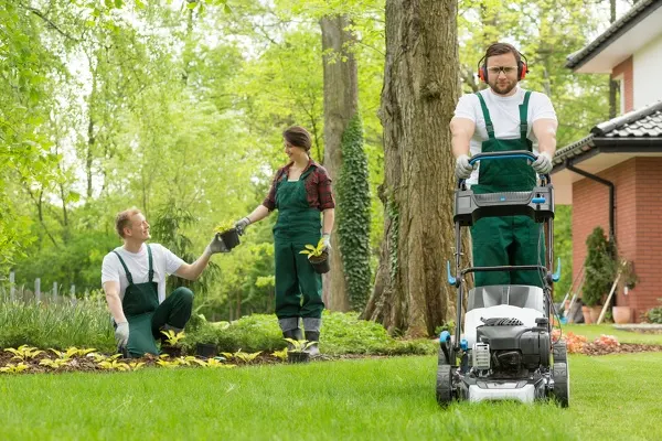 Landscaping Company in Columbia, MD