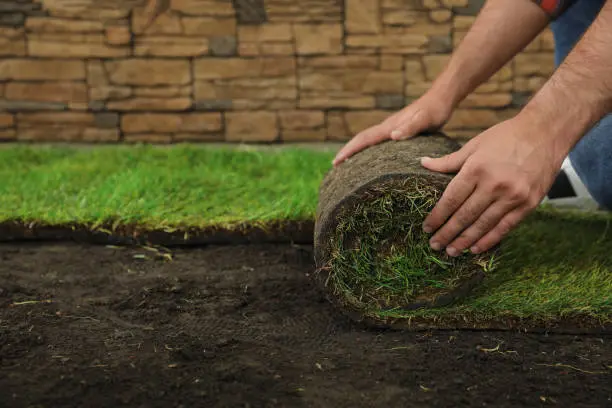 Quality Sod Installation in Davenport, IA