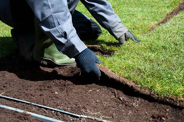 Sod Installation in Davenport, IA