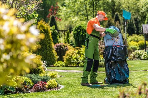 Yard Cleanup in Davenport, IA